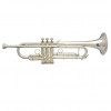 Elite Frankurt Custom Classic Silver