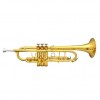 Elite Frankfurt Custom Trumpet - Gold Plated