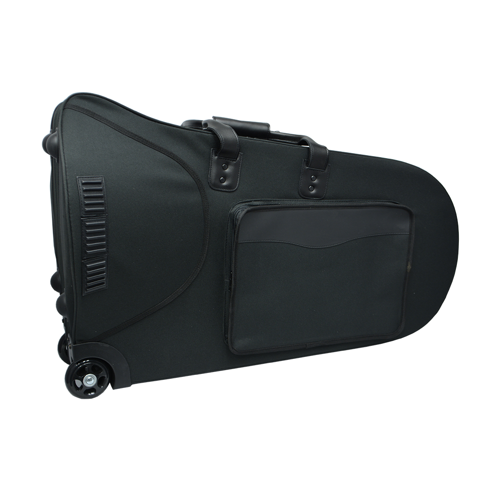 Elite V Compensating Euphonium - Silver & Gold case