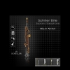 Elite Luxus V Soprano Saxophone - Black Nickle Plated w/ Gold