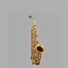 Elite V Alto Saxophone Satin Gold/Gold Big Bell