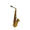 Elite V Pro Artist Alto Saxophone - Gold