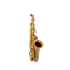 Premier Havana Alto Saxophone - Gold Gloss w/ Totem